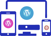 WordPress Custom Web Design